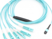 Kabonganan te Fiber ae Imwain kamaunaaki n Taabwai