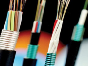 Katauraoan te Kaotioti ae Kakabwai ae Kakawaki ae Kakawaki: Aaro, Taamnei, Riaina, Karekeia, ao te Kateimatoa